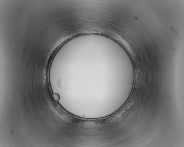 X0000112170298200908071005