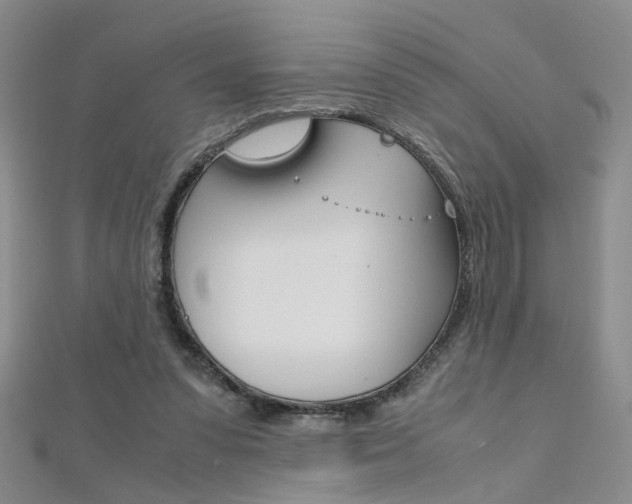 X0000112170303200908071005