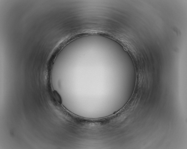 X0000112170304200908071005