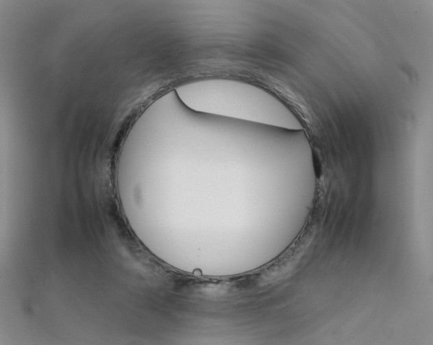 X0000112170306200908071005