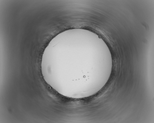 X0000112170307200908071005