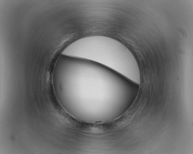 X0000112170308200908071005