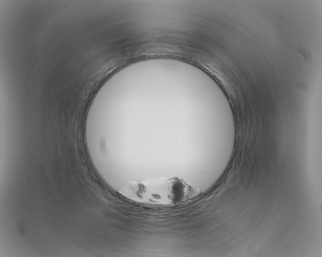 X0000112170309200908071005