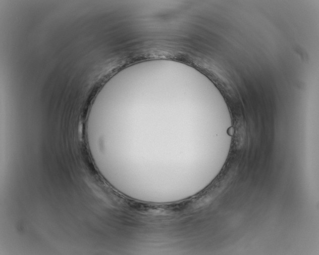 X0000112170310200908071005