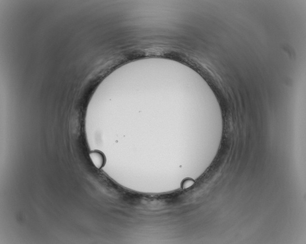 X0000112170311200908071005