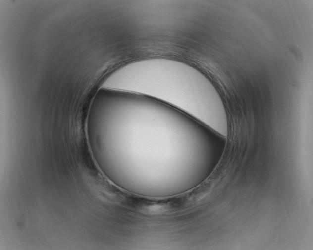 X0000112170312200908071005