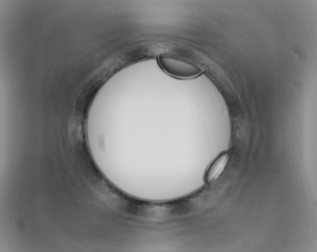 X0000112170313200908071005