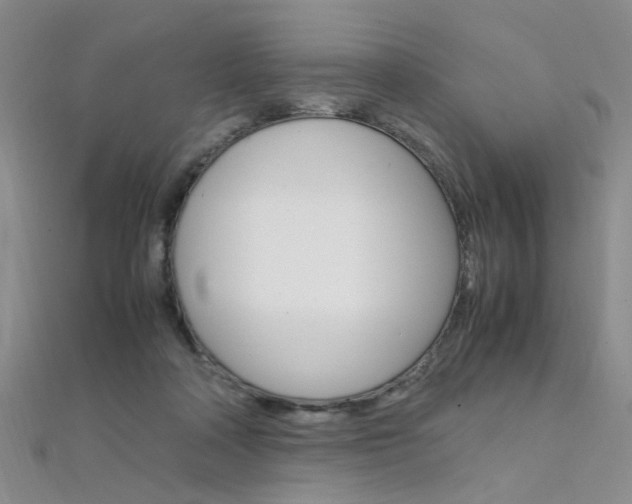 X0000112170314200908071005