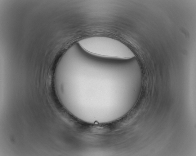X0000112170315200908071005