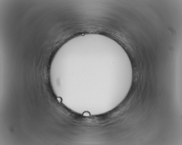 X0000112170317200908071005