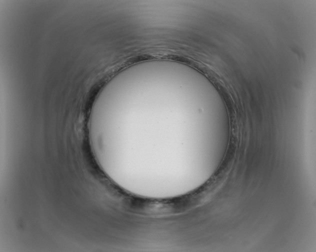 X0000112170319200908071005
