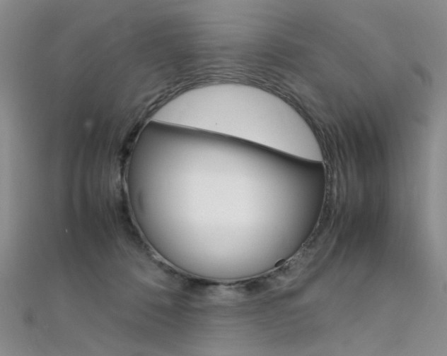 X0000112170320200908071005