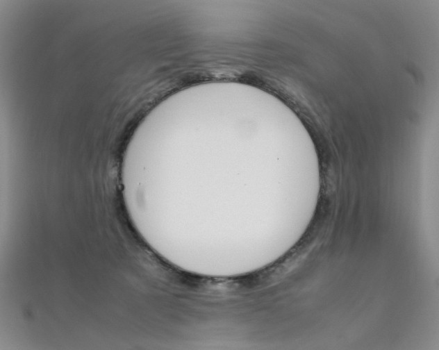 X0000112170321200908071005