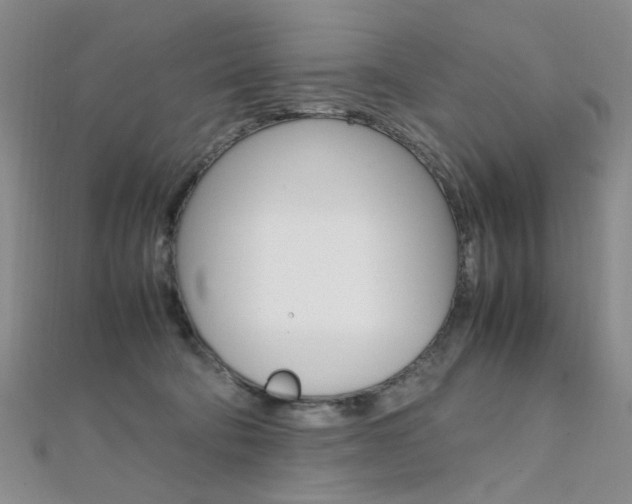 X0000112170322200908071005