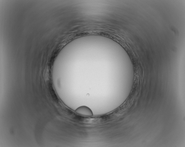 X0000112170323200908071005