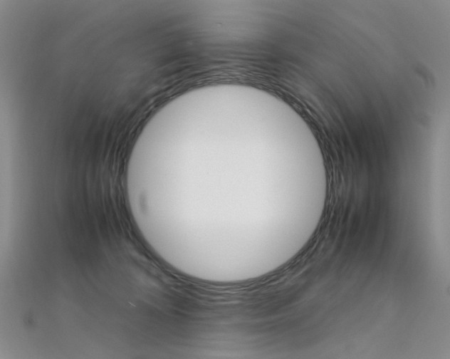 X0000112170324200908071005