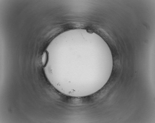 X0000112170325200908071005