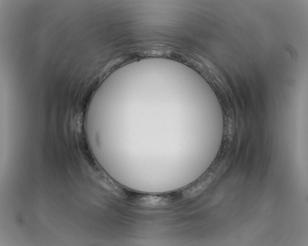 X0000112170326200908071004