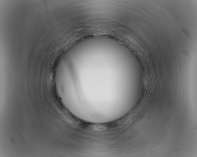 X0000112170327200908071004