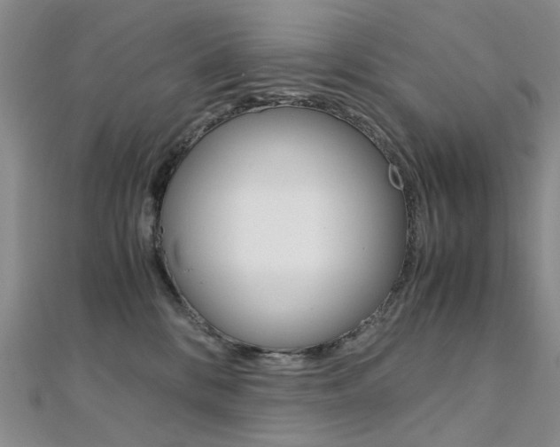 X0000112170328200908071004
