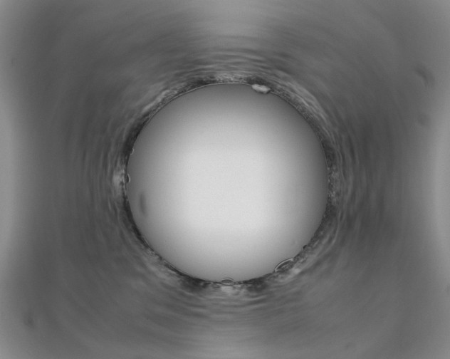 X0000112170329200908071004