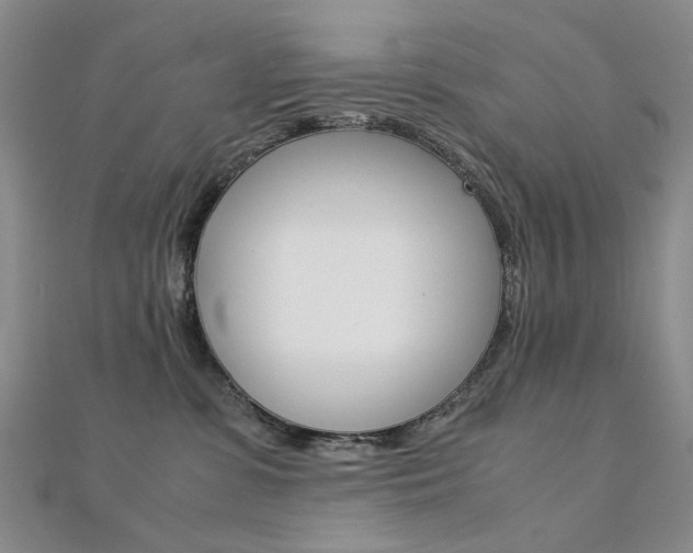 X0000112170331200908071004