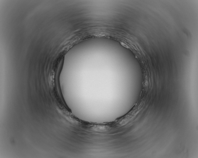 X0000112170332200908071004