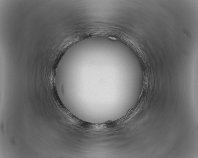 X0000112170333200908071004