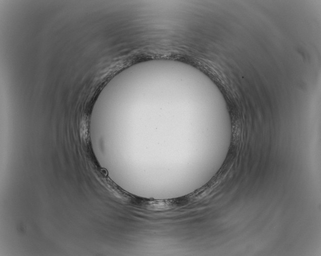 X0000112170335200908071004