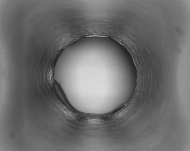 X0000112170336200908071004