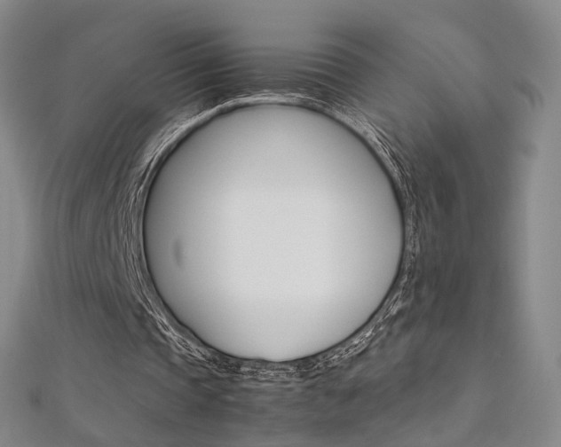 X0000112170337200908071004