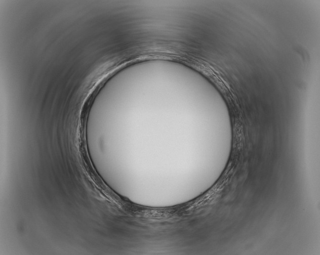 X0000112170338200908071004
