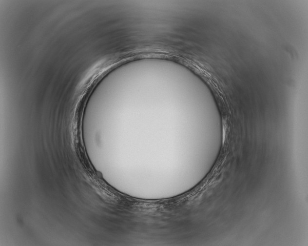 X0000112170339200908071004