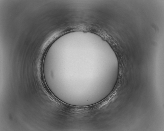 X0000112170341200908071004