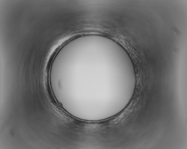 X0000112170342200908071004
