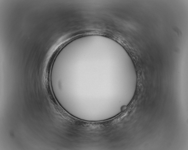 X0000112170343200908071004