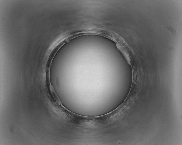 X0000112170344200908071004