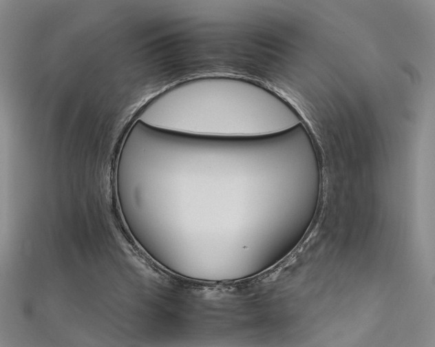 X0000112170345200908071004