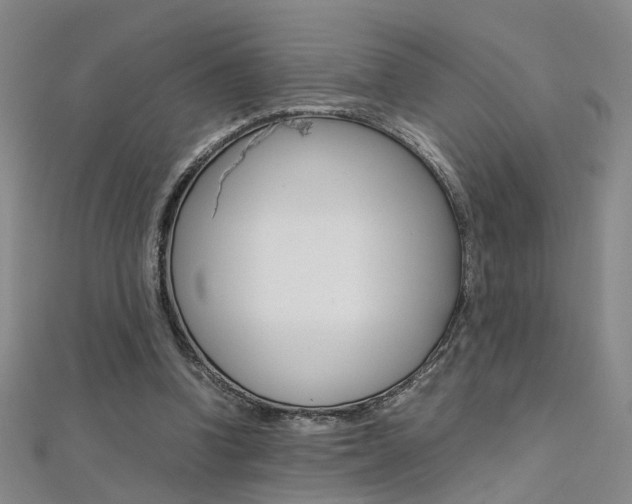 X0000112170346200908071004