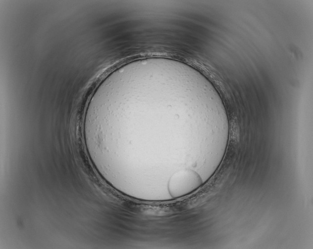 X0000112170347200908071004
