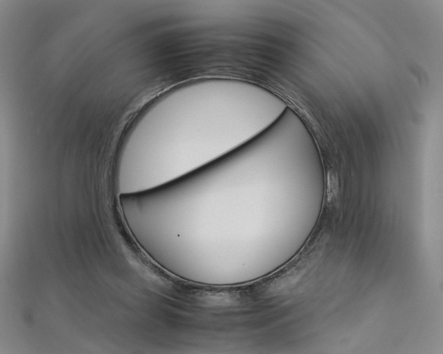 X0000112170349200908071004
