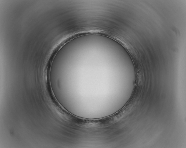 X0000112170350200908071004