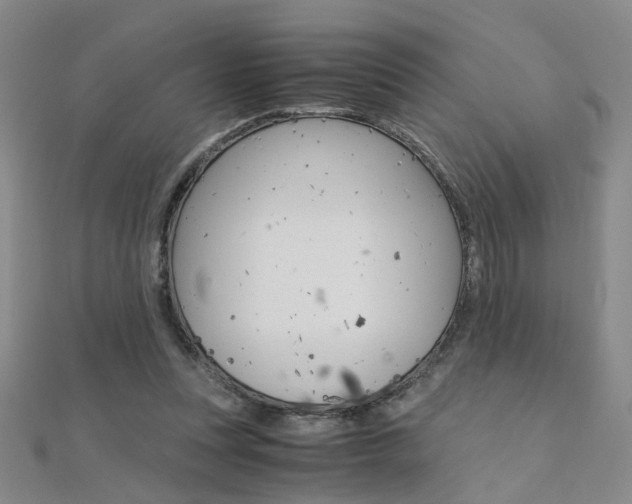 X0000112170351200908071004