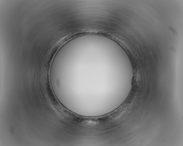 X0000112170352200908071004