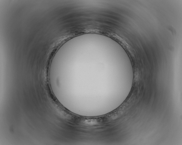X0000112170353200908071004