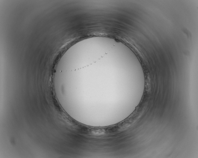 X0000112170355200908071004