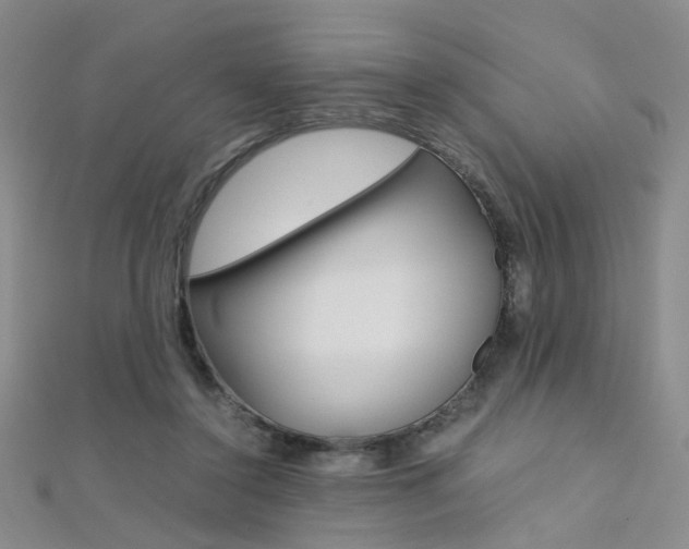 X0000112170356200908071004