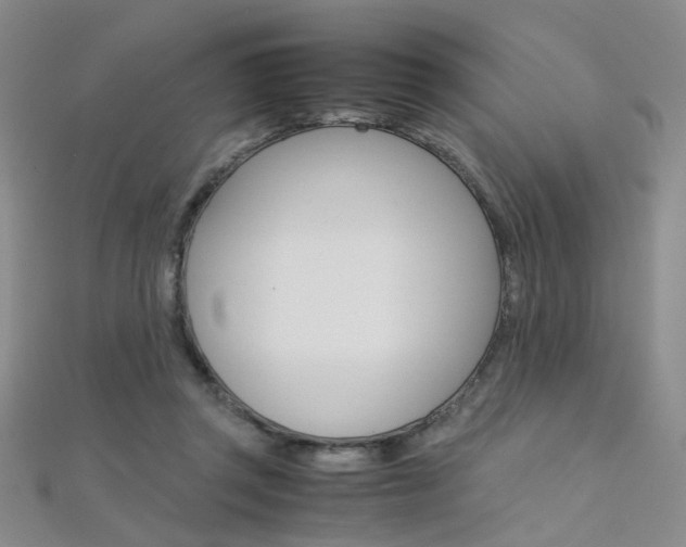 X0000112170357200908071004