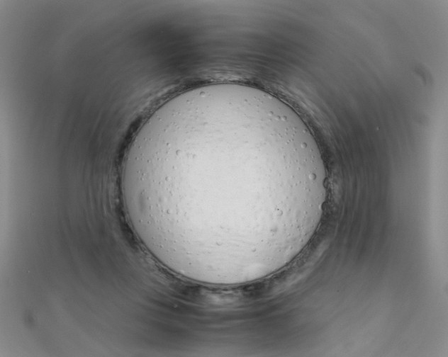 X0000112170359200908071004