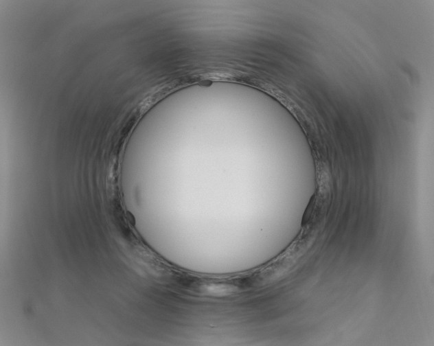 X0000112170360200908071004